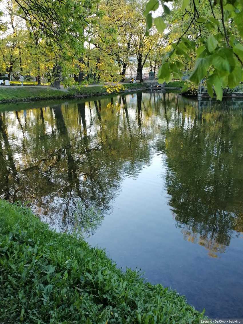 Санкт-Петербург: Алия у пруда в Таврическом саду