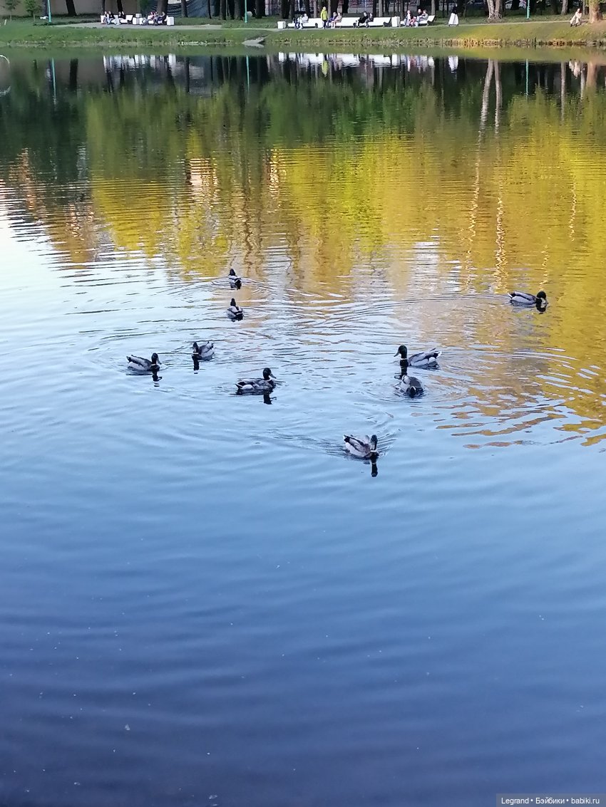 Санкт-Петербург: Алия у пруда в Таврическом саду