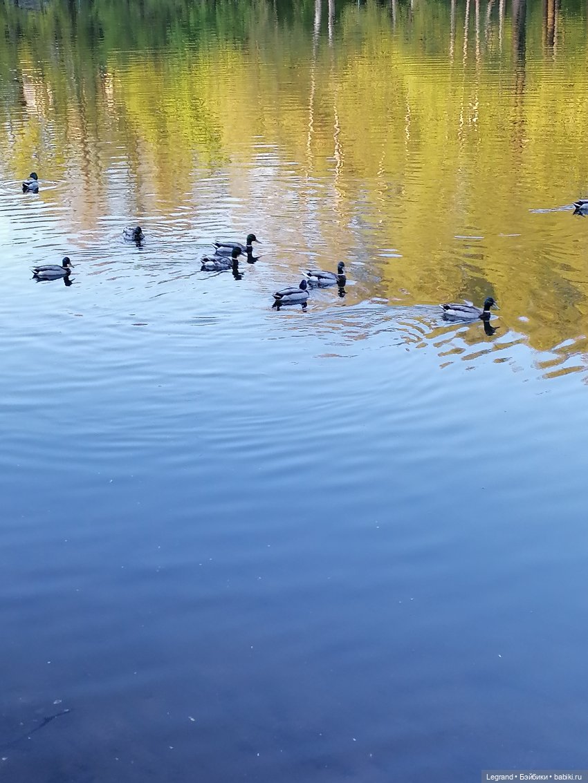 Санкт-Петербург: Алия у пруда в Таврическом саду
