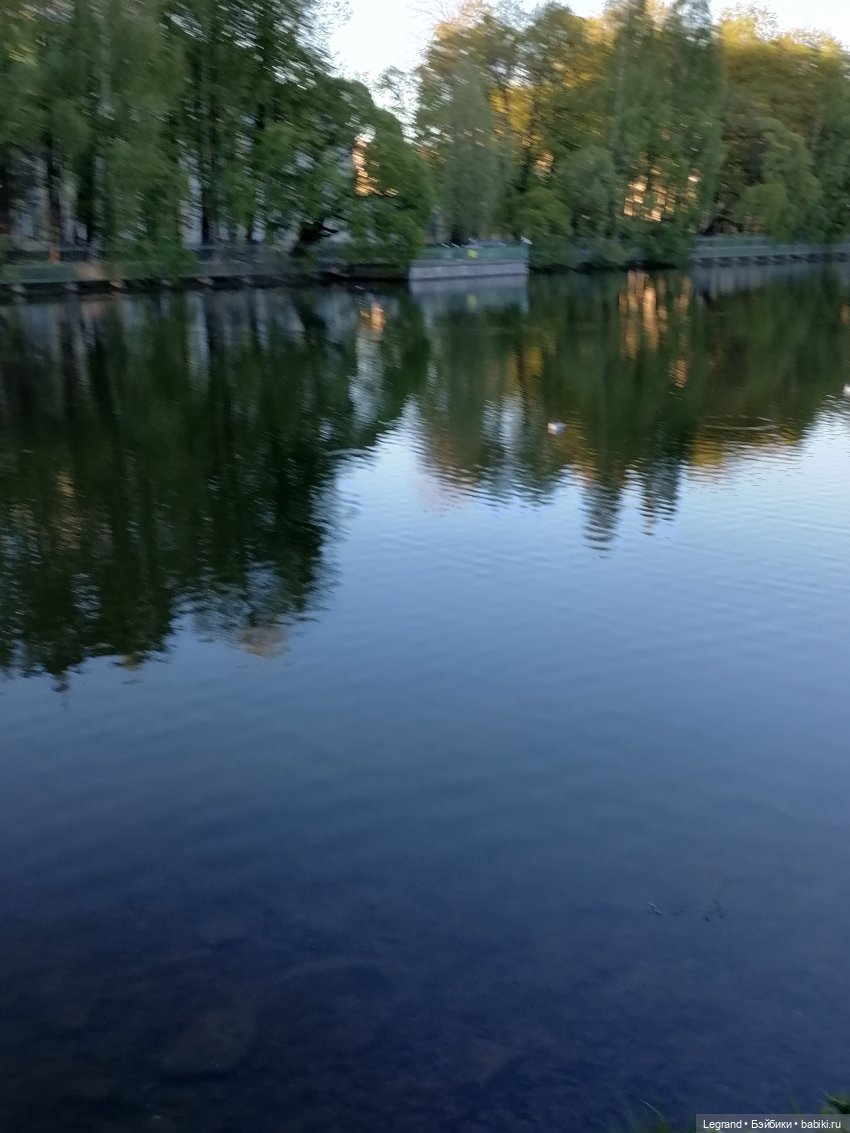 Санкт-Петербург: Алия у пруда в Таврическом саду (фото 4)