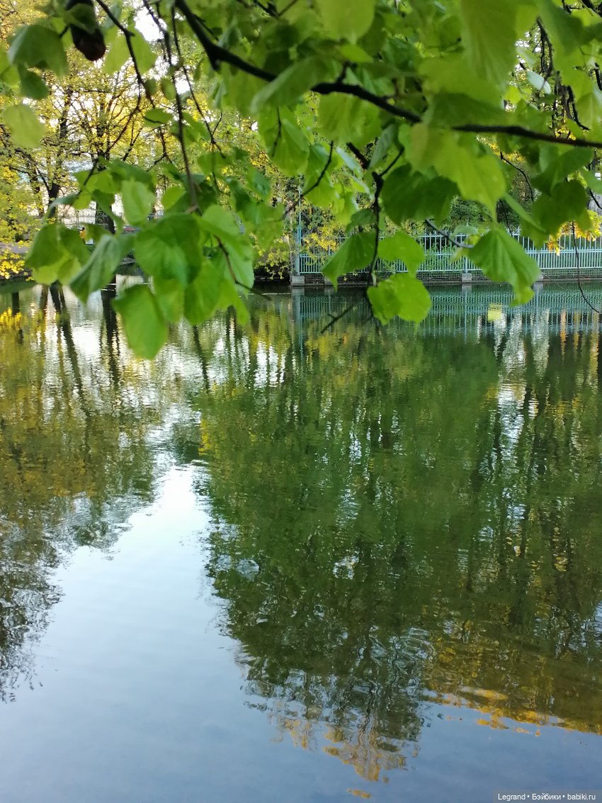 Санкт-Петербург: Алия у пруда в Таврическом саду