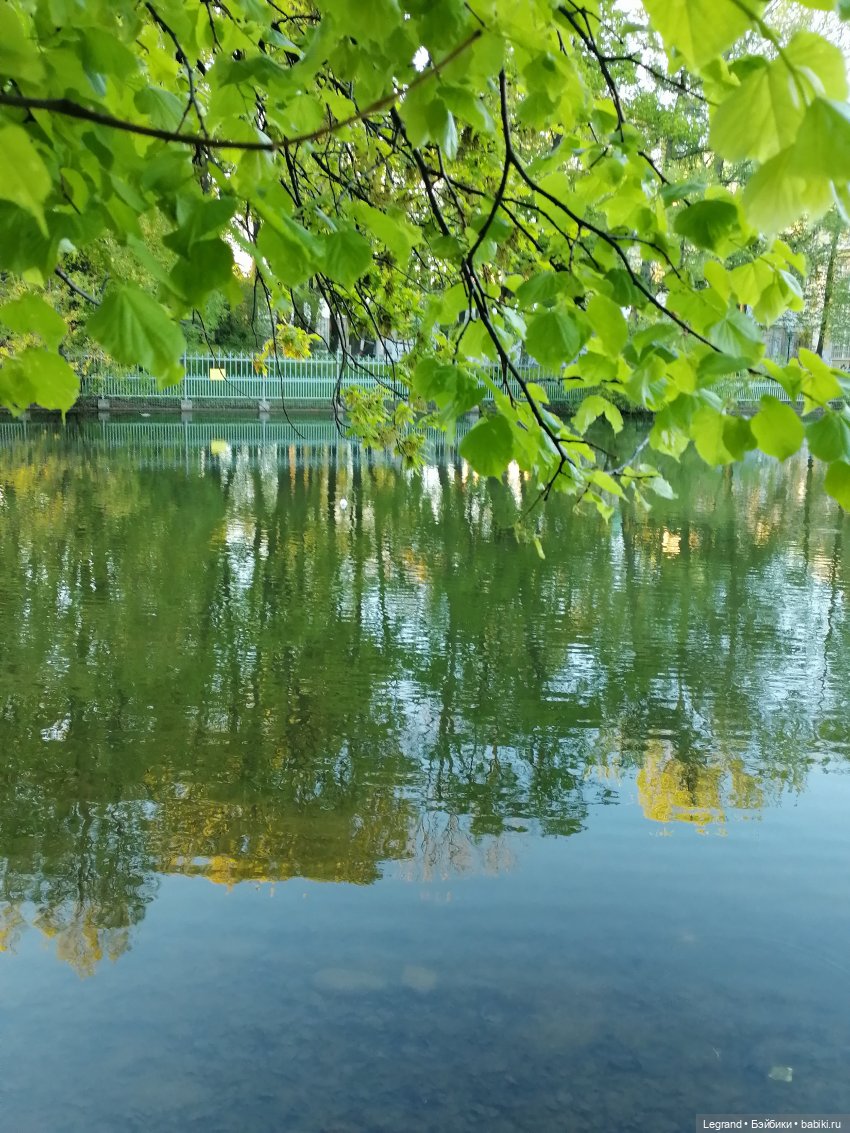 Санкт-Петербург: Алия у пруда в Таврическом саду