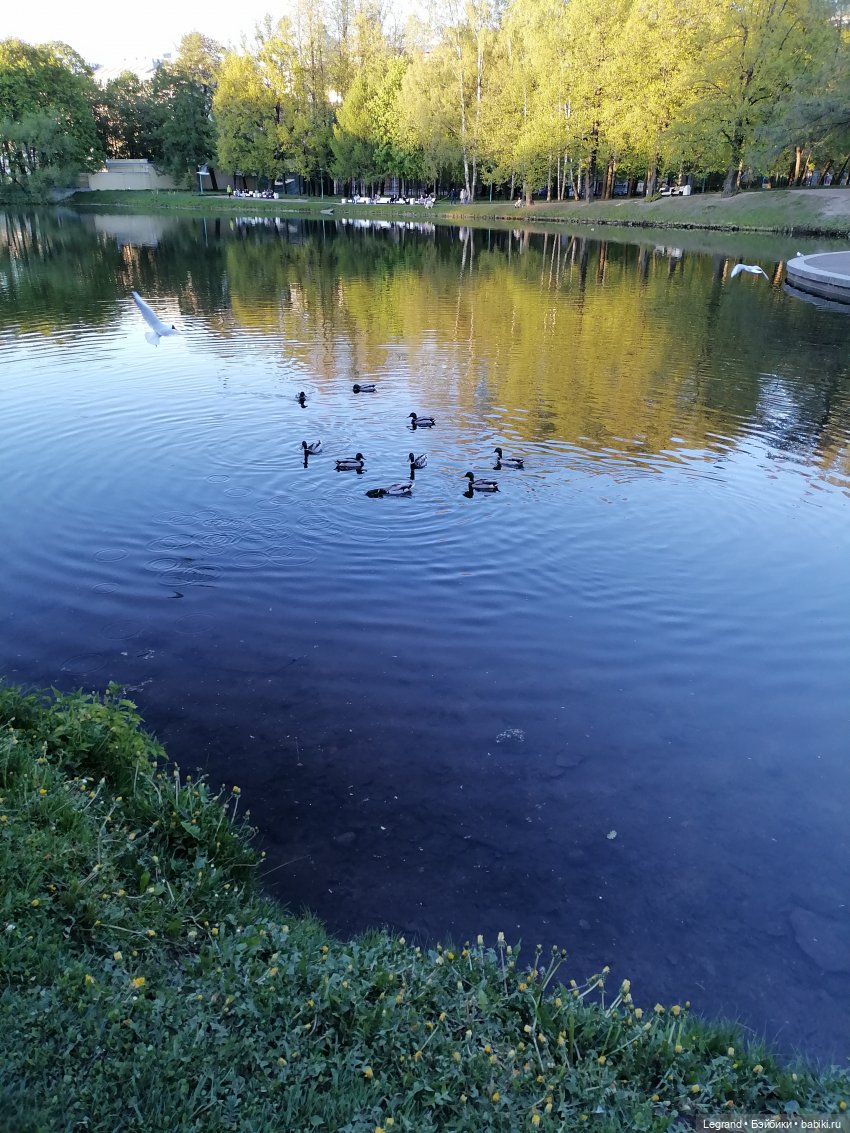 Санкт-Петербург: Алия у пруда в Таврическом саду