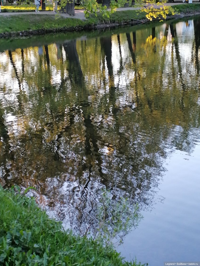 Санкт-Петербург: Алия у пруда в Таврическом саду