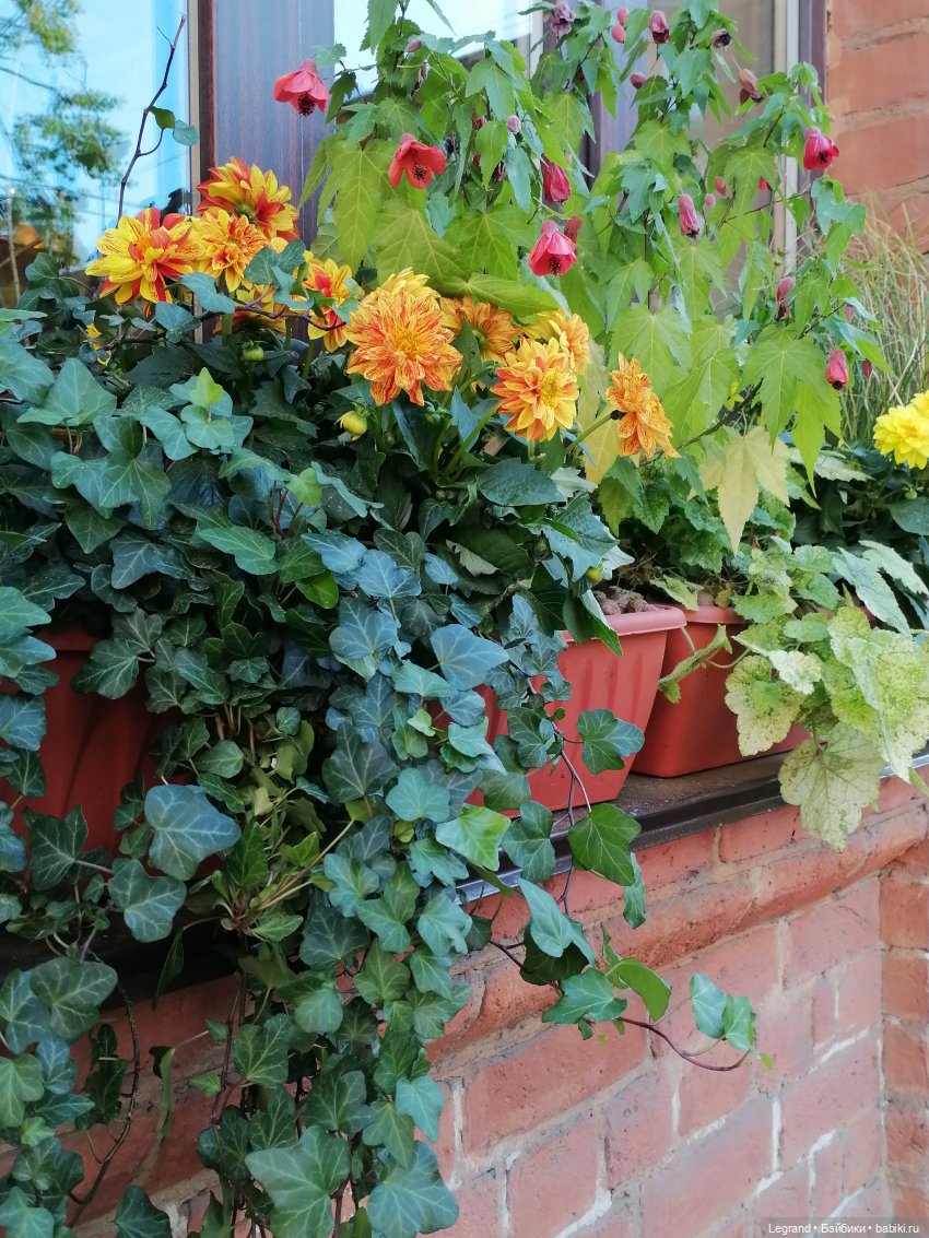 Санкт-Петербург: Таврический сад в мае