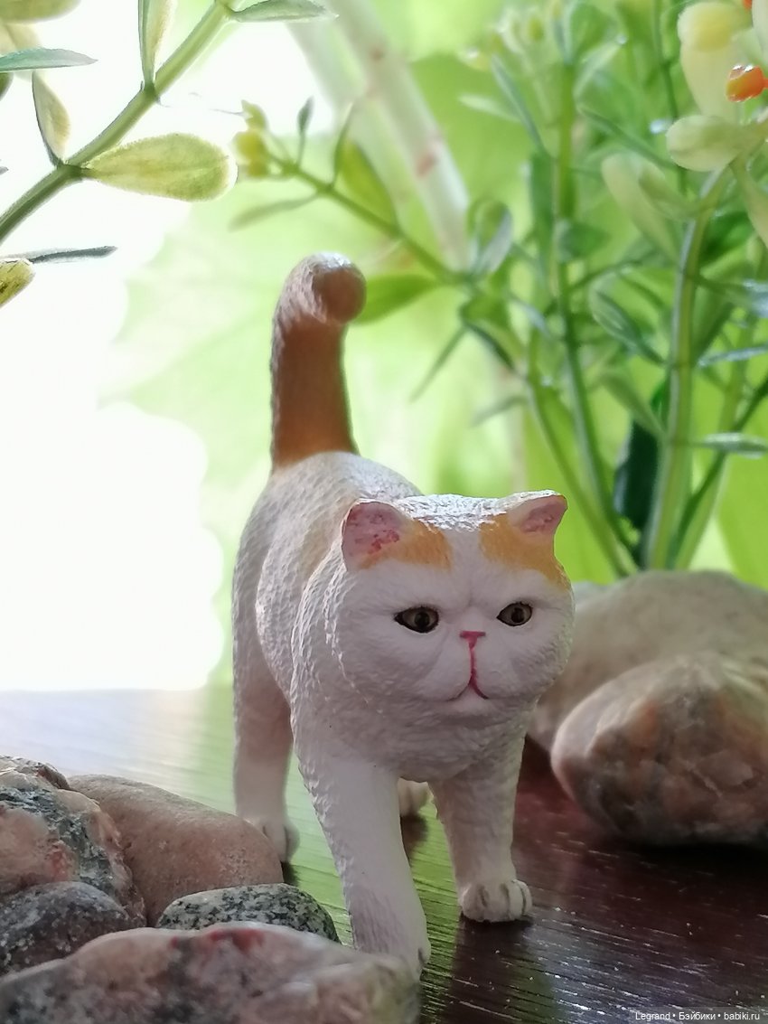 Луренские сады: ребята и зверята🤗