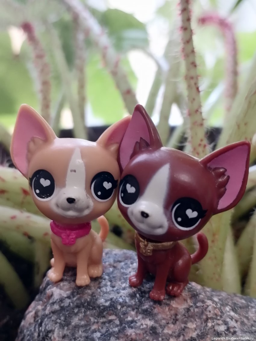 Луренские сады: ребята и зверята🤗 (фото 6)