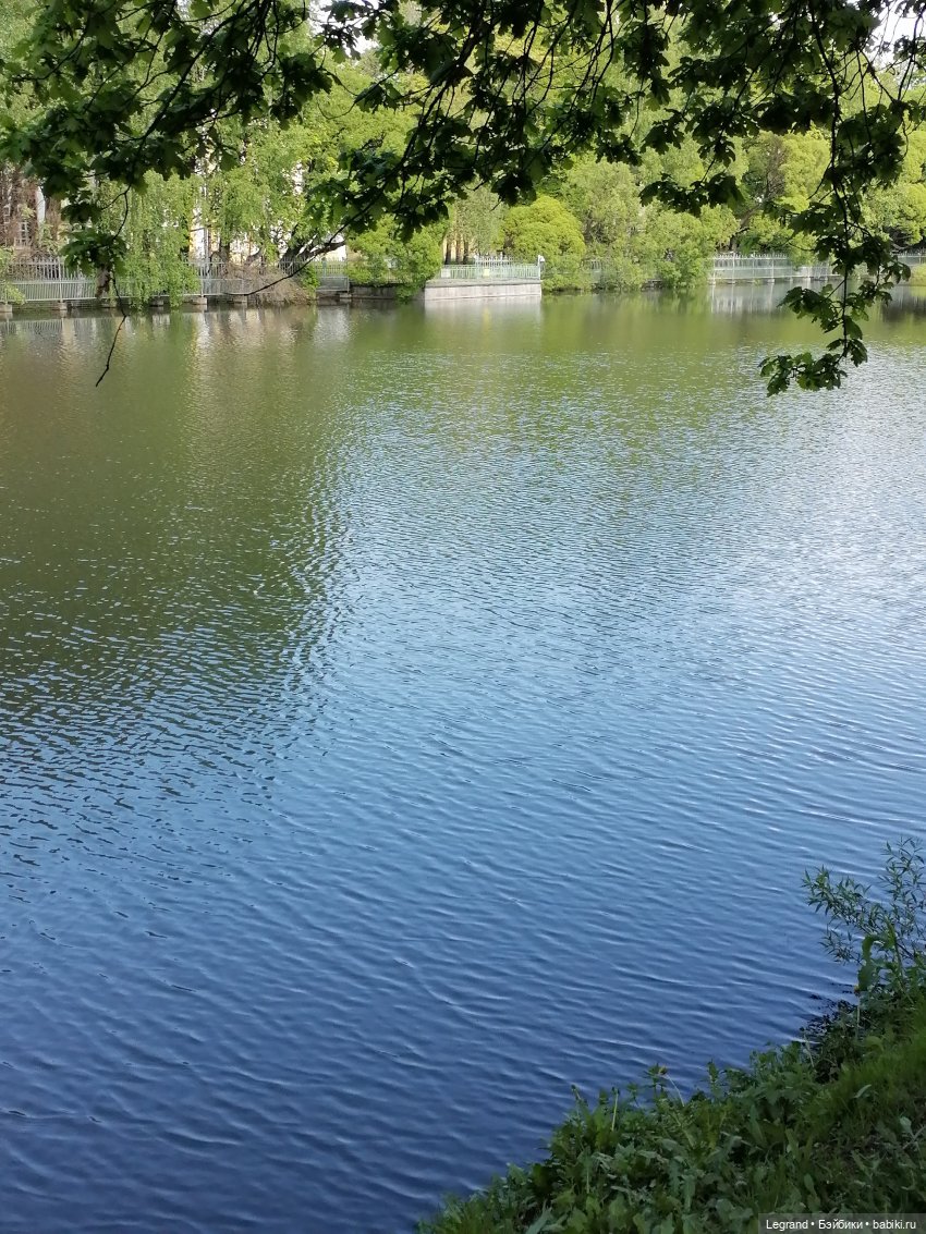 Санкт-Петербург: Таврический сад в мае