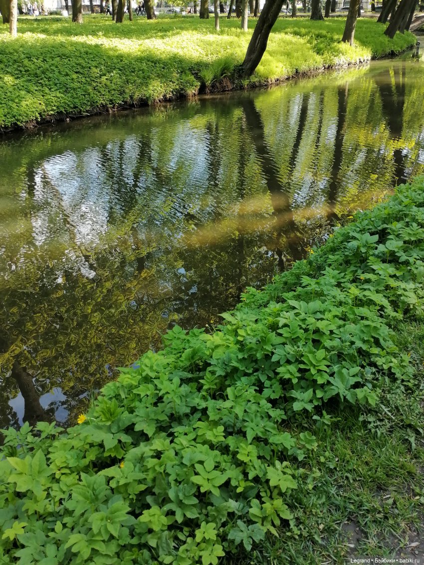 Санкт-Петербург: Таврический сад в мае