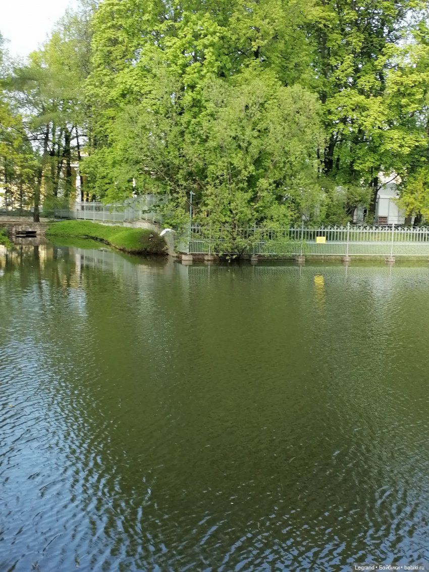 Санкт-Петербург: Таврический сад в мае