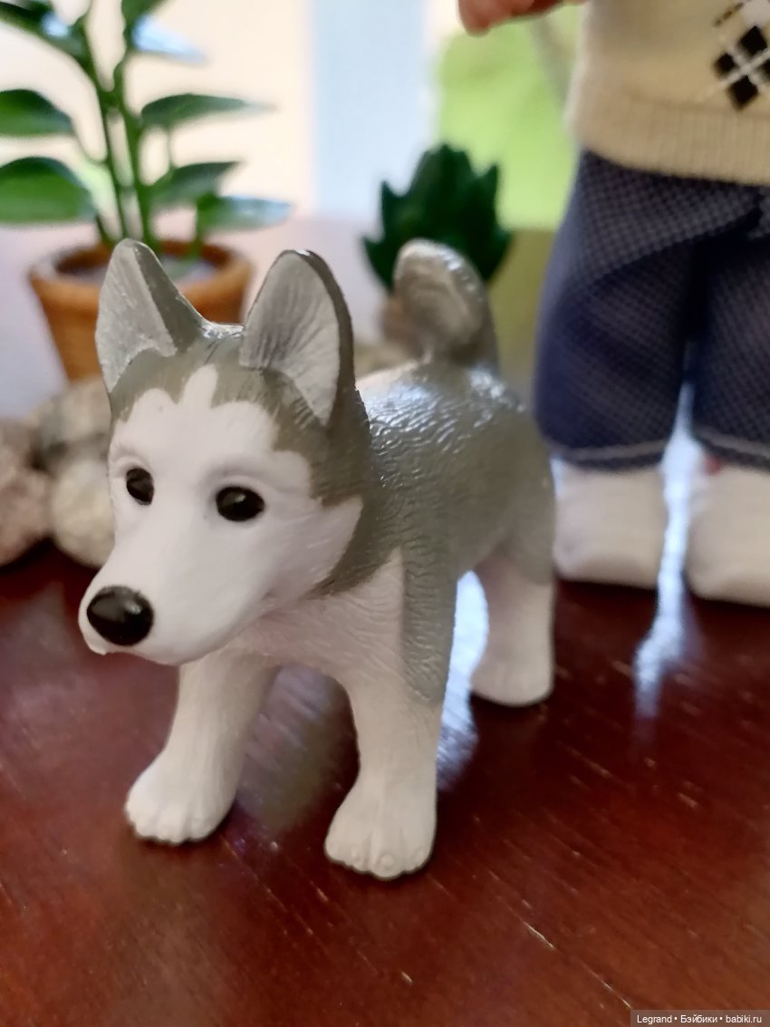 Луренские сады: ребята и зверята🤗