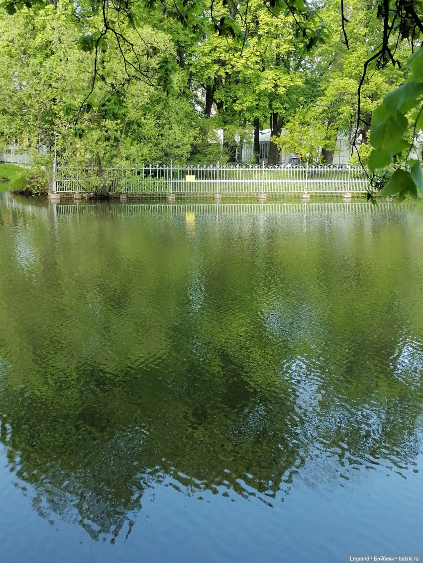 Санкт-Петербург: Таврический сад в мае
