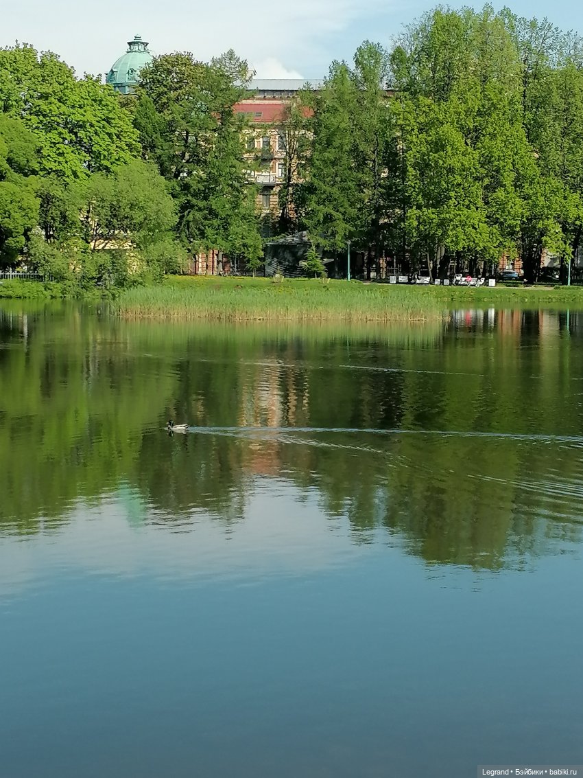 Санкт-Петербург: Таврический сад в мае