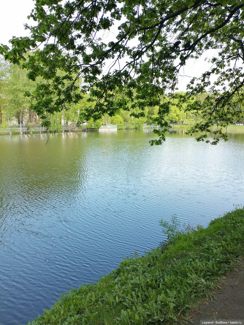 Санкт-Петербург: Таврический сад в мае