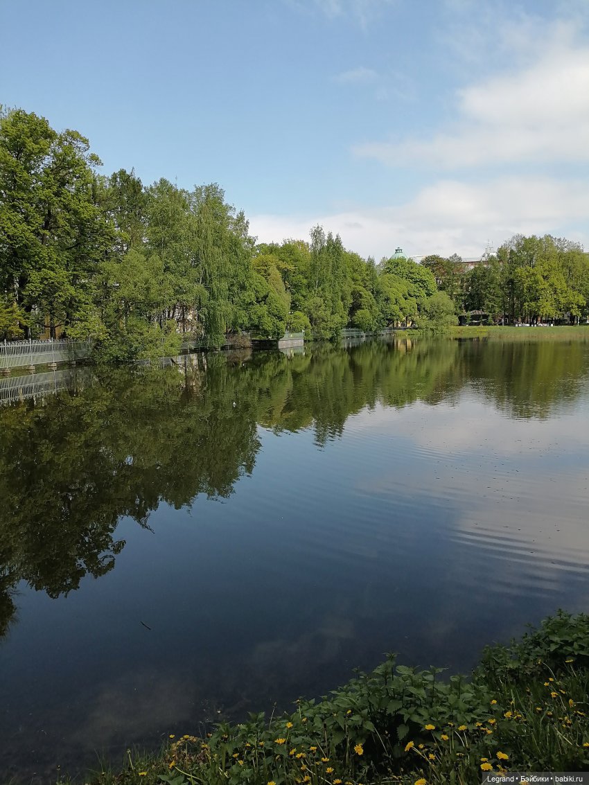 Санкт-Петербург: Таврический сад в мае (фото 4)