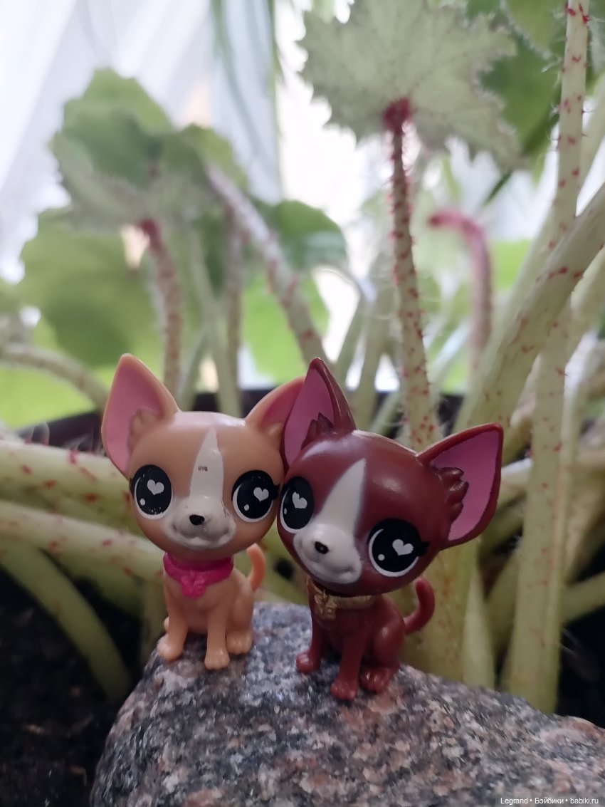 Луренские сады: ребята и зверята🤗 (фото 7)