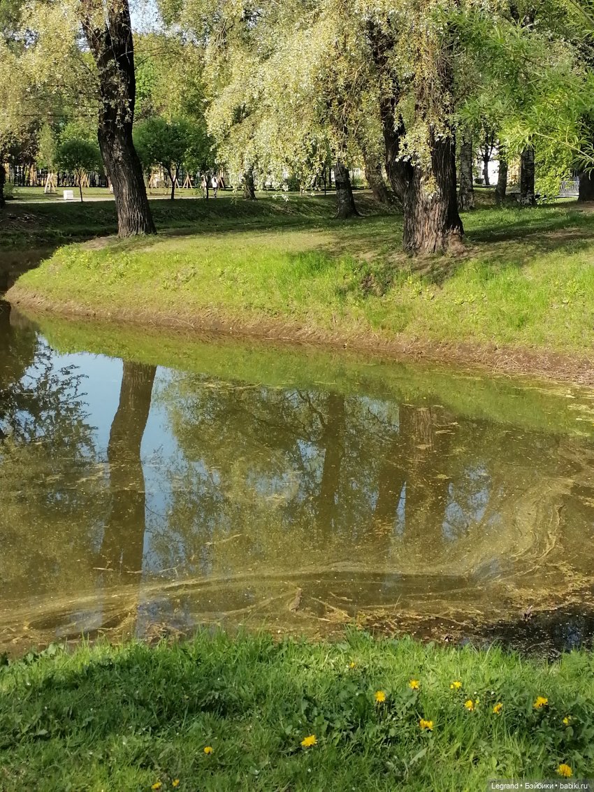 Санкт-Петербург: Таврический сад - цветущий май