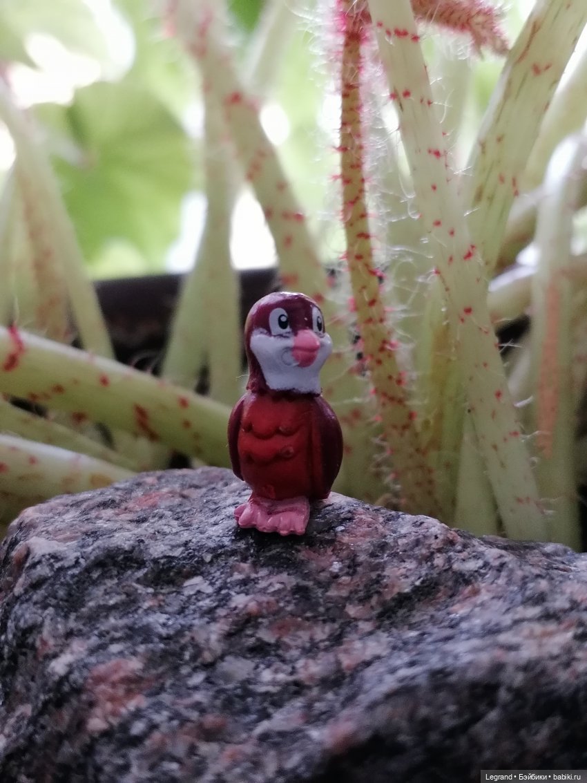 Луренские сады: ребята и зверята🤗