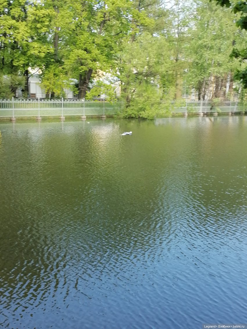 Санкт-Петербург: Таврический сад в мае