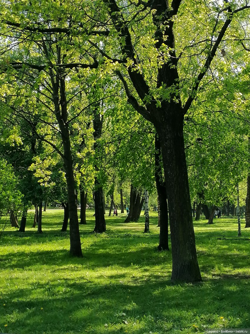 Санкт-Петербург: Таврический сад в мае