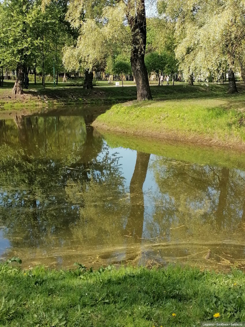 Санкт-Петербург: Таврический сад - цветущий май