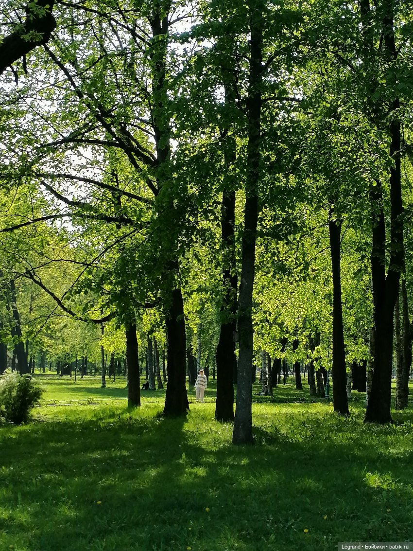 Санкт-Петербург: Таврический сад в мае