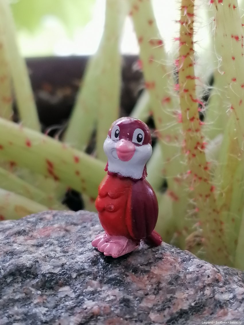 Луренские сады: ребята и зверята🤗