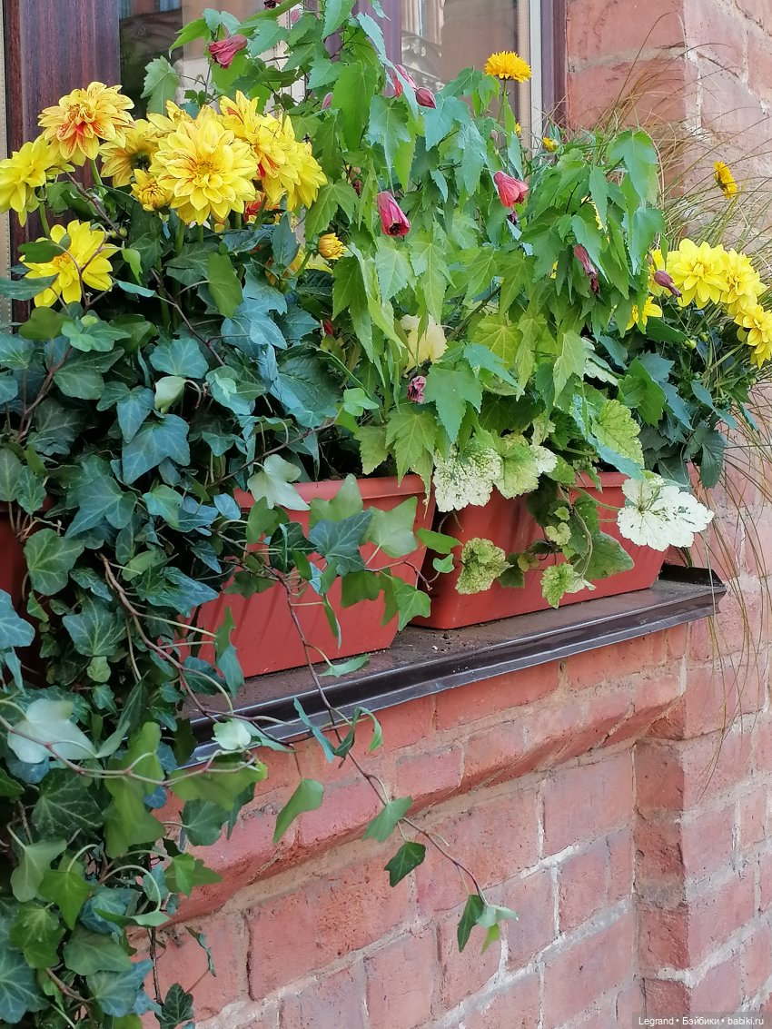 Санкт-Петербург: Таврический сад в мае