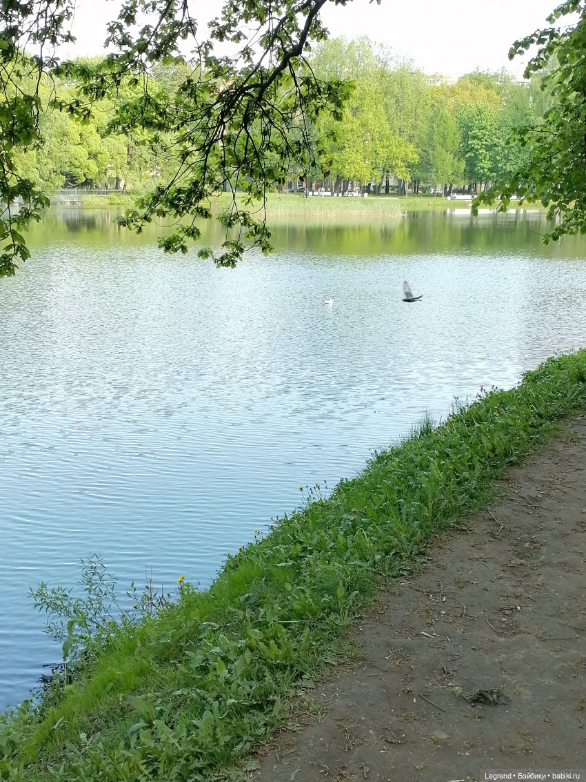 Санкт-Петербург: Таврический сад в мае