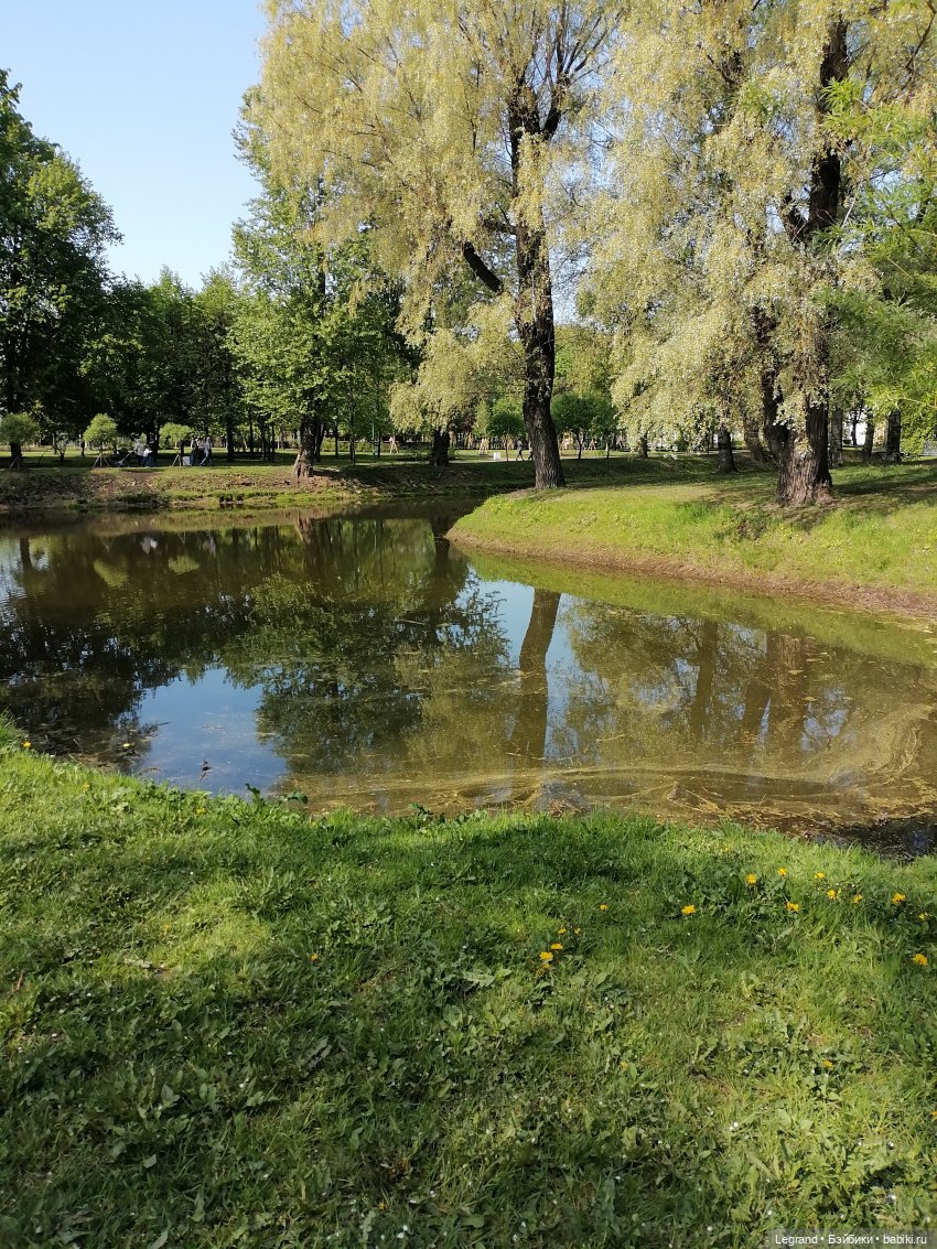 Санкт-Петербург: Таврический сад - цветущий май