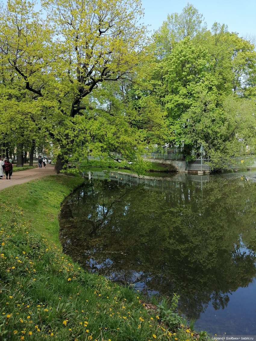 Санкт-Петербург: Таврический сад в мае (фото 2)