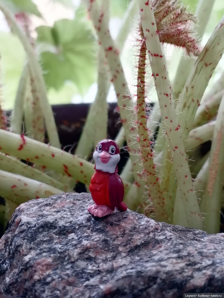 Луренские сады: ребята и зверята🤗