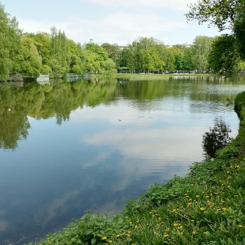 Санкт-Петербург: Таврический сад в мае