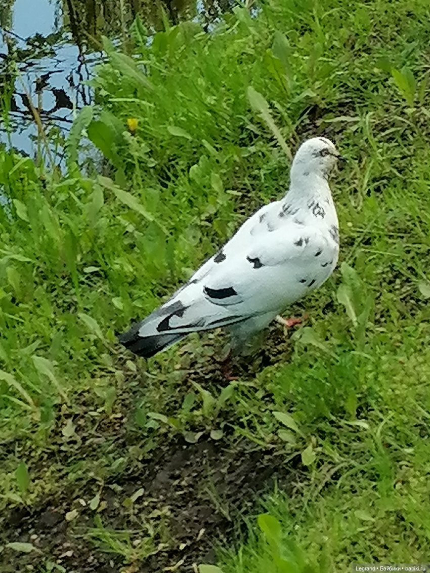 Они сами пишут свои истории: Алия