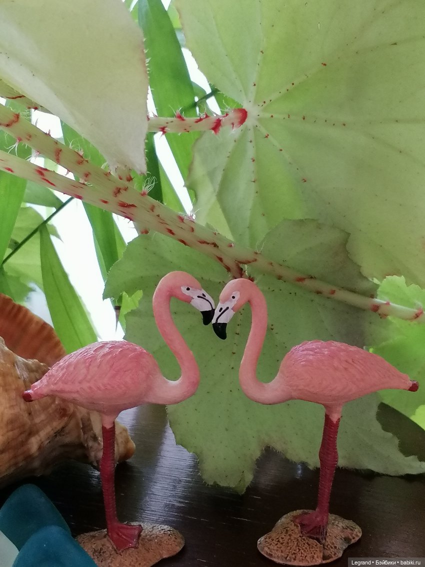 Луренские сады: Берен, Джансу, "чудо в перьях" и Барин (фото 3)