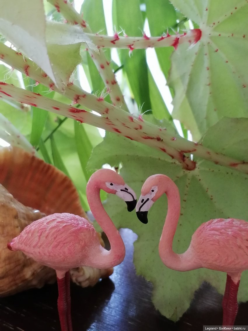 Луренские сады: Берен, Джансу, "чудо в перьях" и Барин (фото 2)