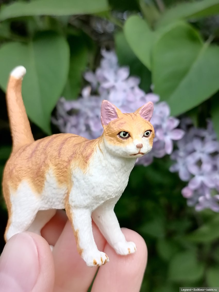 Лурения - Петербург: новый кот на прогулке в Таврическом (фото 9)