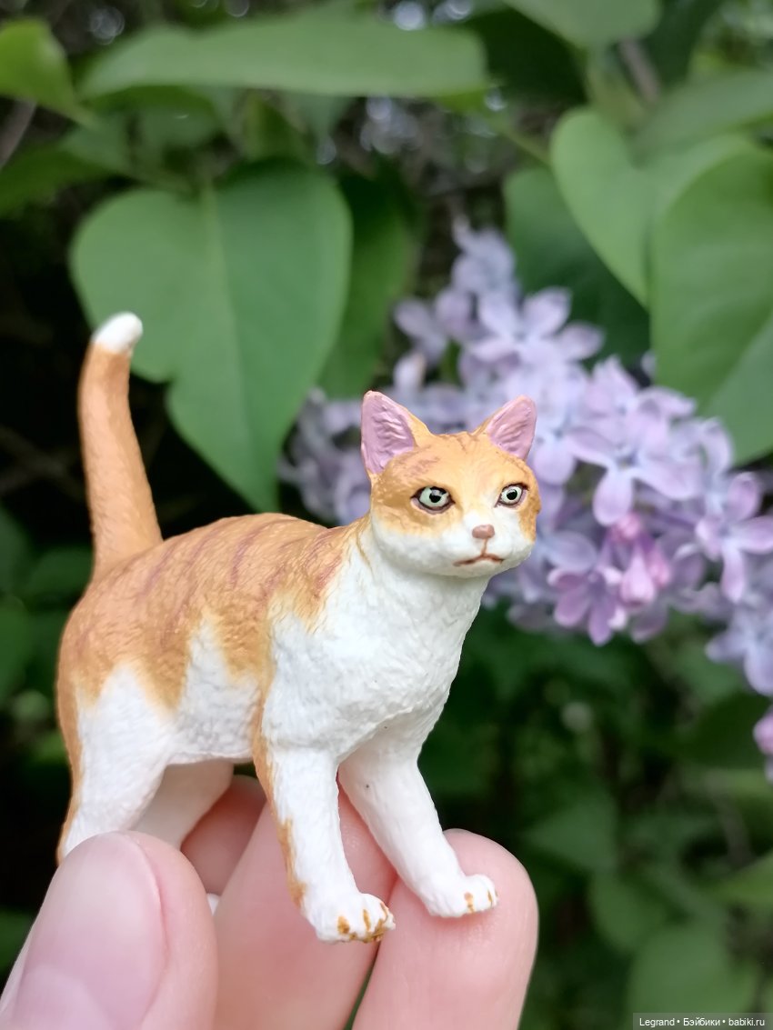 Лурения - Петербург: новый кот на прогулке в Таврическом (фото 8)