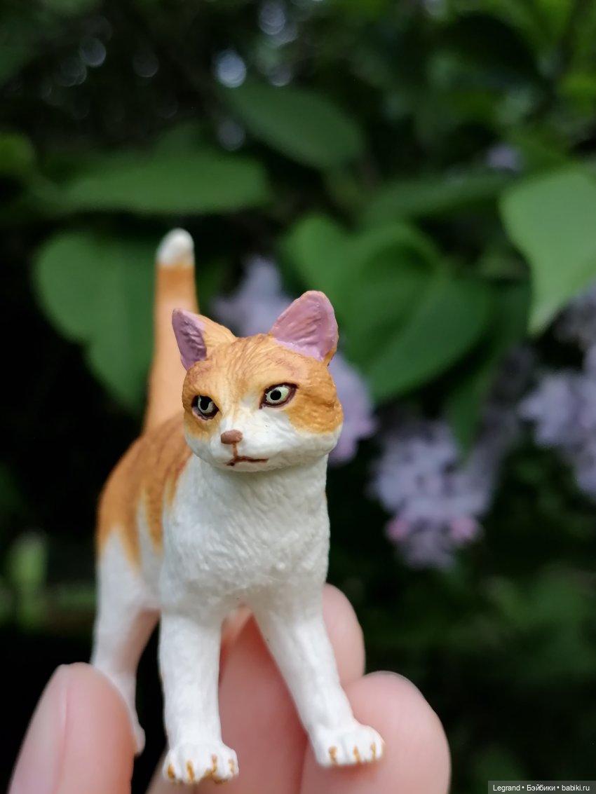 Лурения - Петербург: новый кот на прогулке в Таврическом