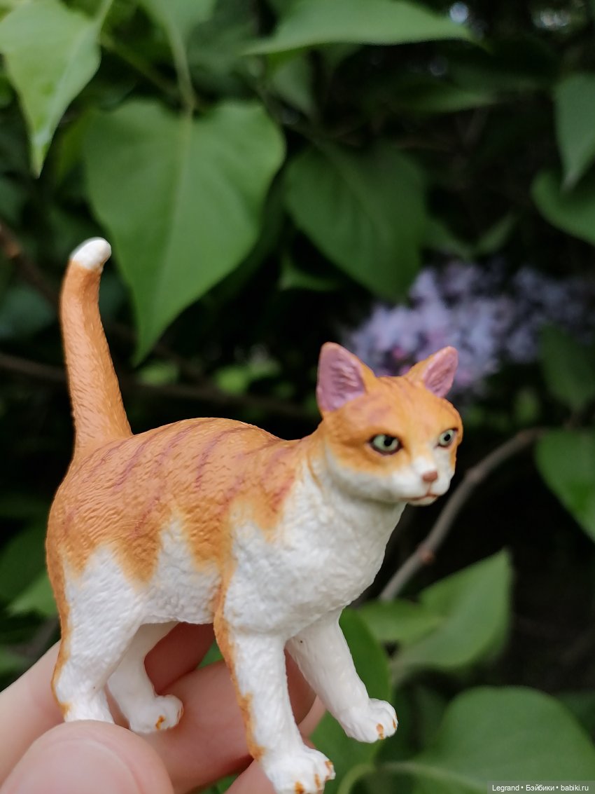 Лурения - Петербург: новый кот на прогулке в Таврическом