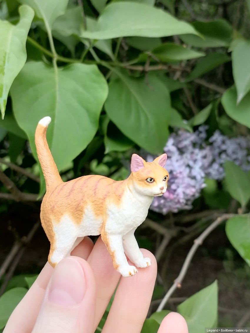 Лурения - Петербург: новый кот на прогулке в Таврическом