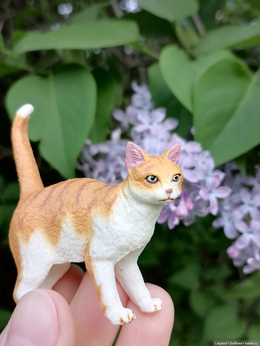 Лурения - Петербург: новый кот на прогулке в Таврическом (фото 10)