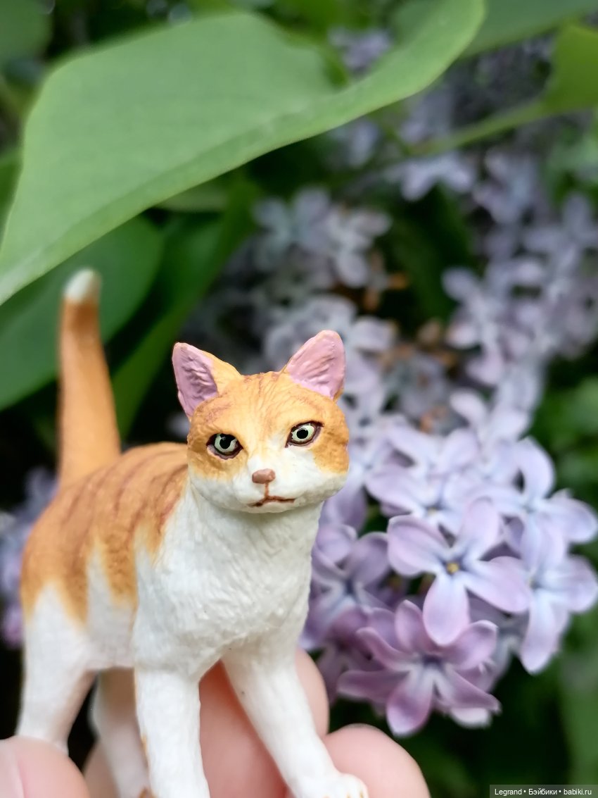 Лурения - Петербург: новый кот на прогулке в Таврическом