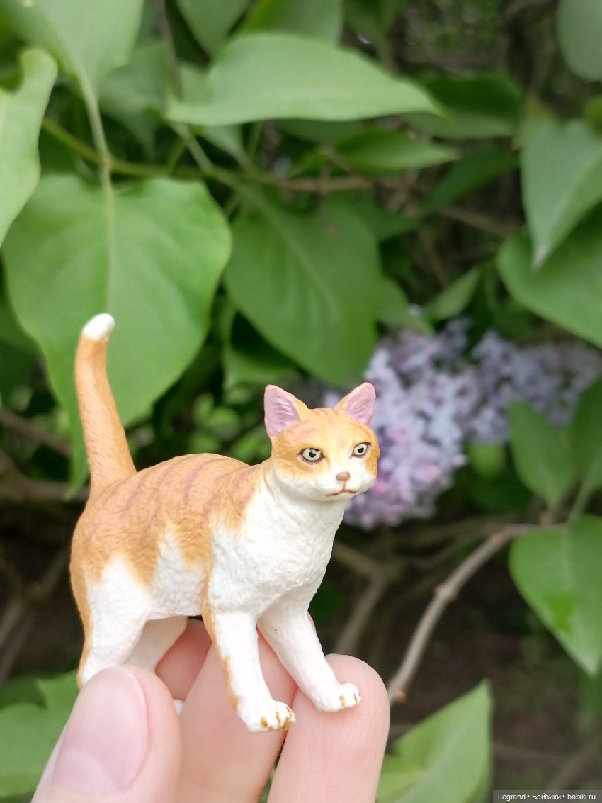 Лурения - Петербург: новый кот на прогулке в Таврическом