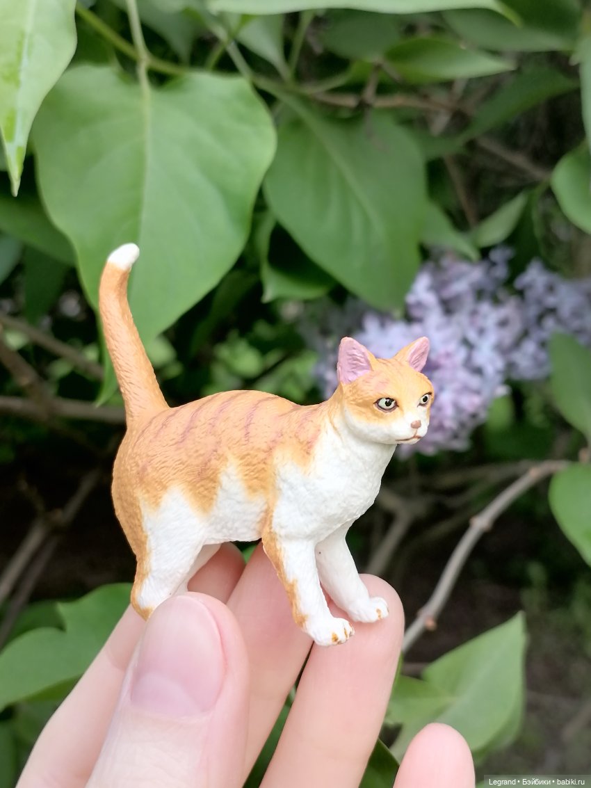 Лурения - Петербург: новый кот на прогулке в Таврическом (фото 4)