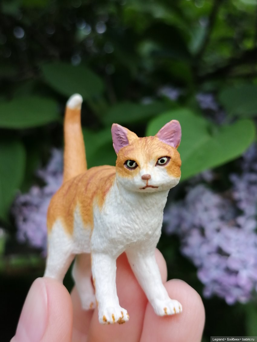 Лурения - Петербург: новый кот на прогулке в Таврическом