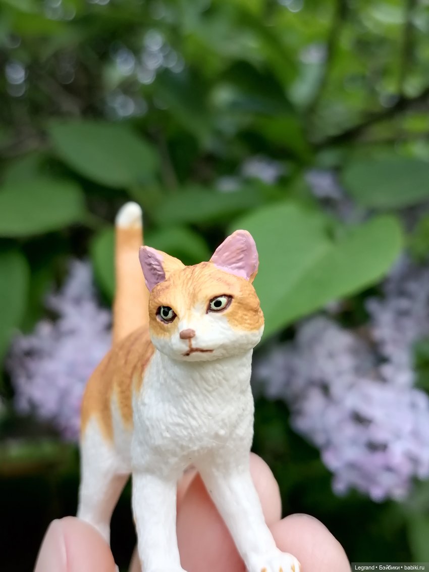 Лурения - Петербург: новый кот на прогулке в Таврическом