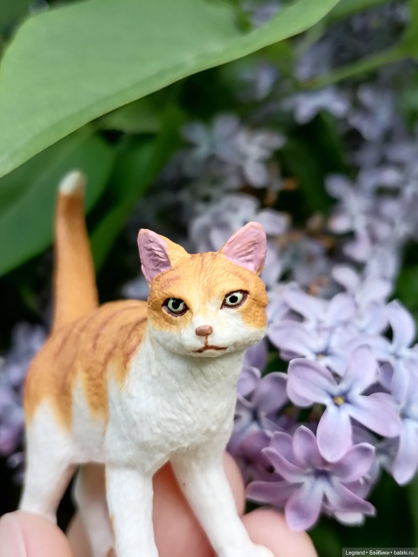 Лурения - Петербург: новый кот на прогулке в Таврическом