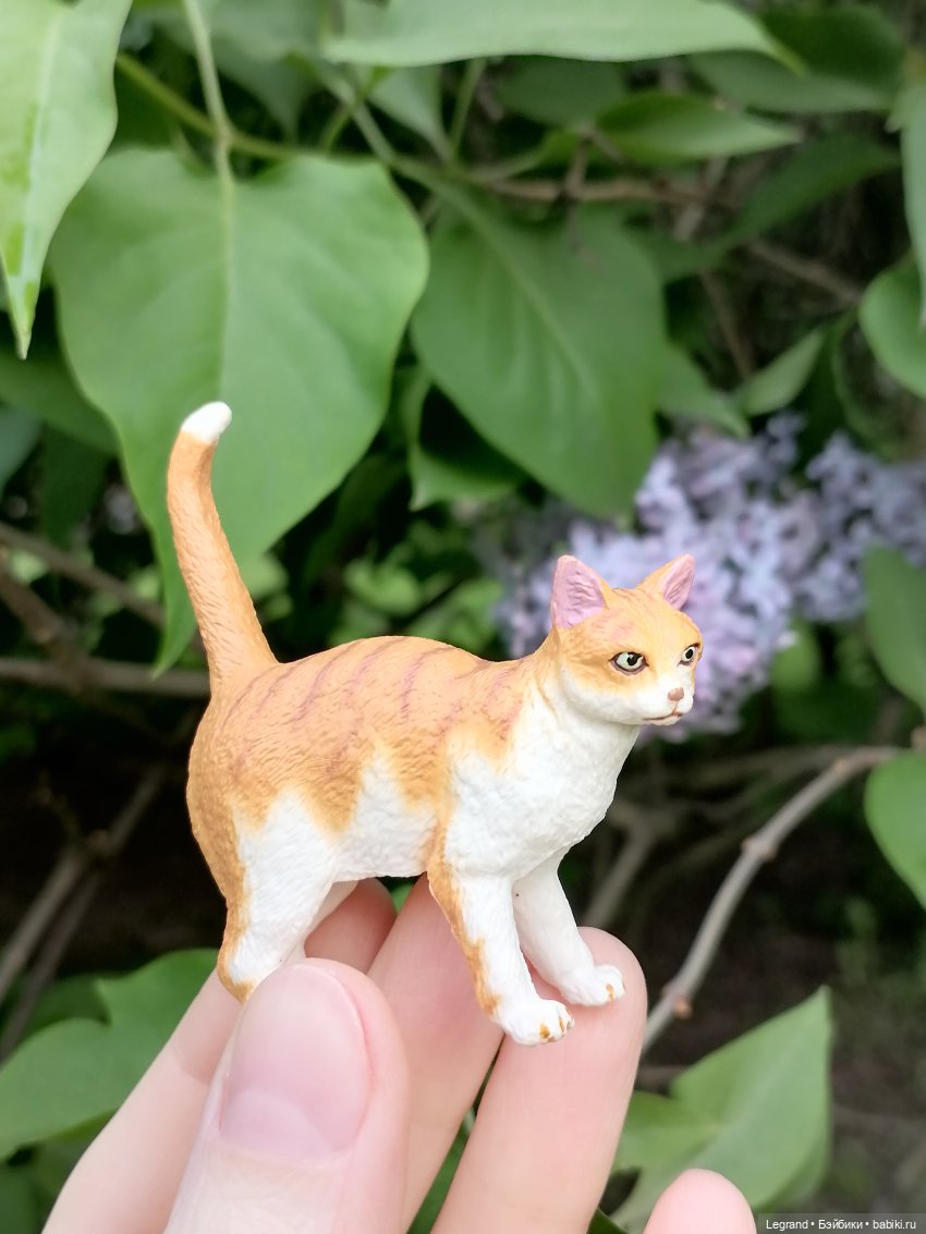 Лурения - Петербург: новый кот на прогулке в Таврическом