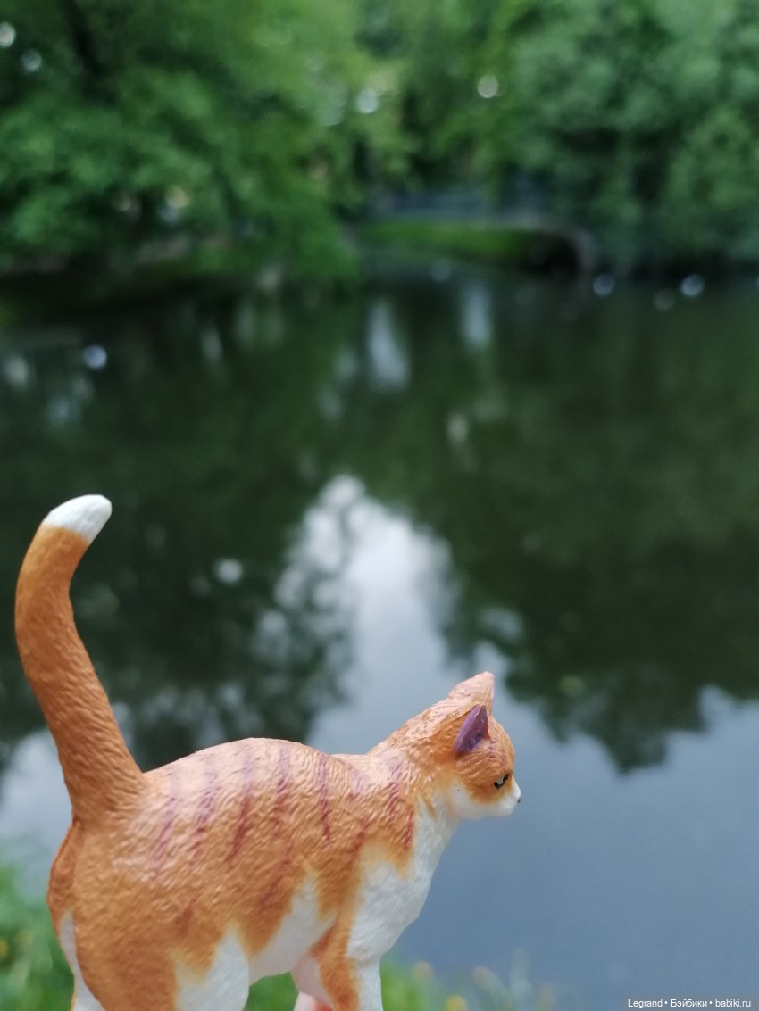 Лурения - Петербург: новый кот на прогулке в Таврическом